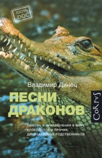 Динец. Песни драконов. обложка книги